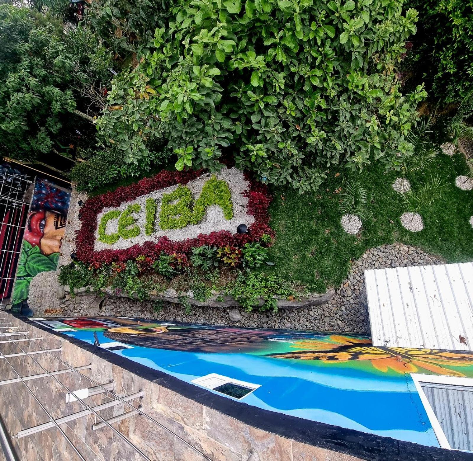 Ayenda Ceiba Rooms Перейра Екстериор снимка